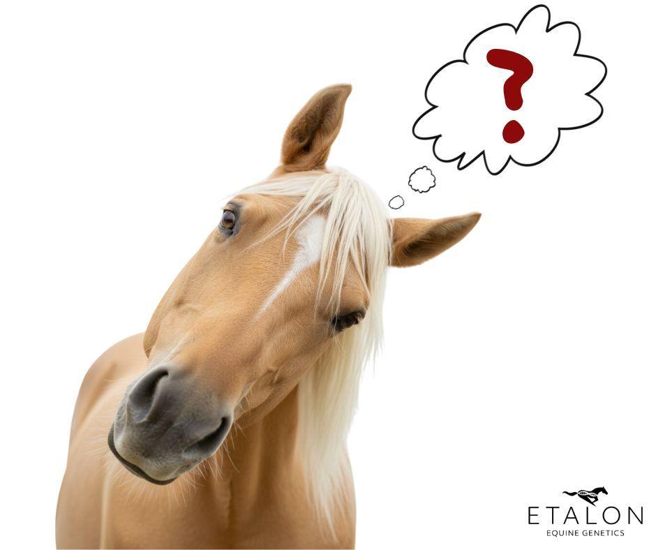 Etalon News & Media Article