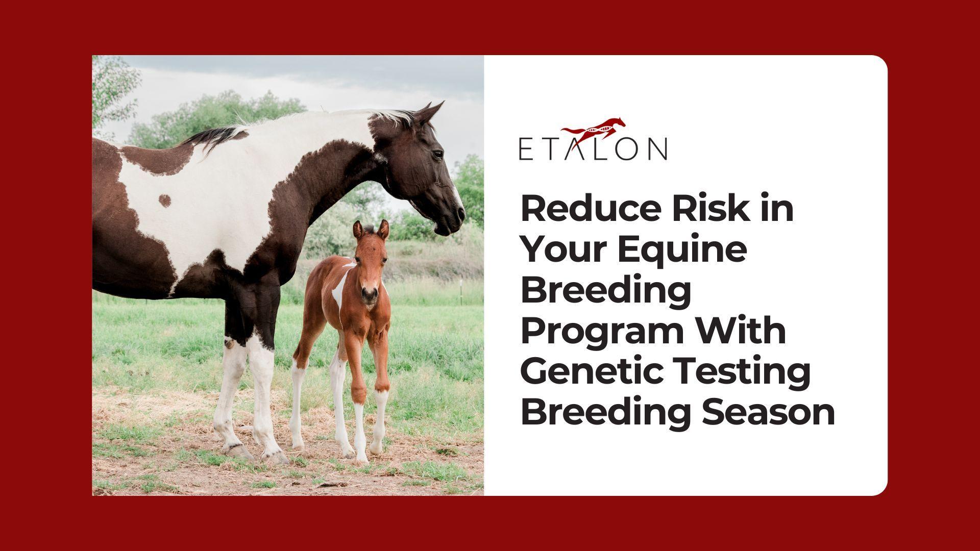 Etalon News & Media Article